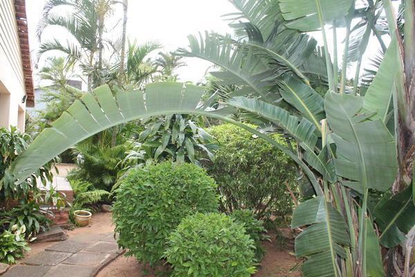 Guest house Asante Sana 3*